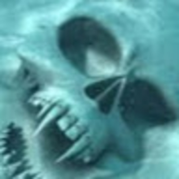 Meet your Posher, Yogi - Picture 1 of 1